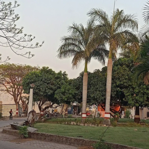  Plot – Garden View at Devguradia - for Sale