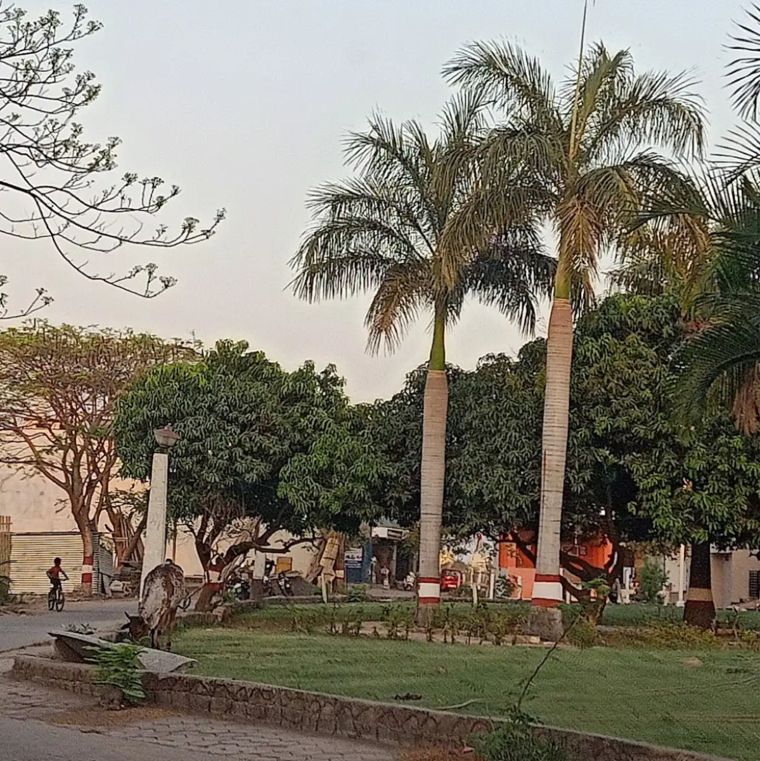 Garden, devguradia  1500 Sq.Ft. Plot In Devguradia Indore 8768970