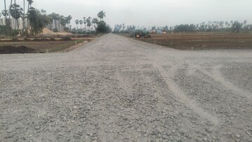  Plot For Sale in Pamarru
