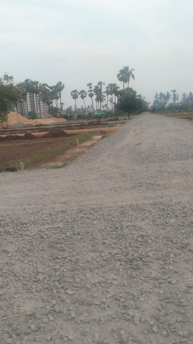 undefined, pamarru  146 Sq.Yd. Plot In Pamarru Vijayawada 8769242