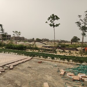 Plot Area in  Plot at Sector 33 – for Sale