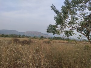 Plot Area in  Plot at Ranjanpada – for Sale