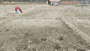 Plot Area in  Plot at Bhogpur – for Sale