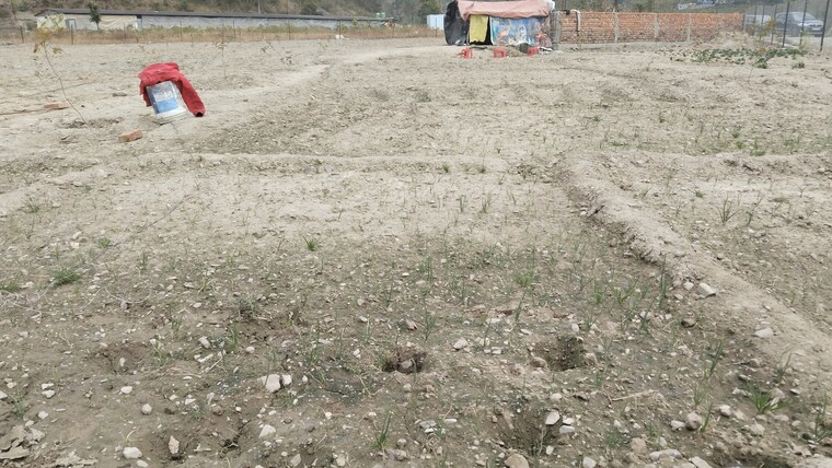 undefined, bhogpur  150 Sq.Yd. Plot In Bhogpur Dehradun 8769482