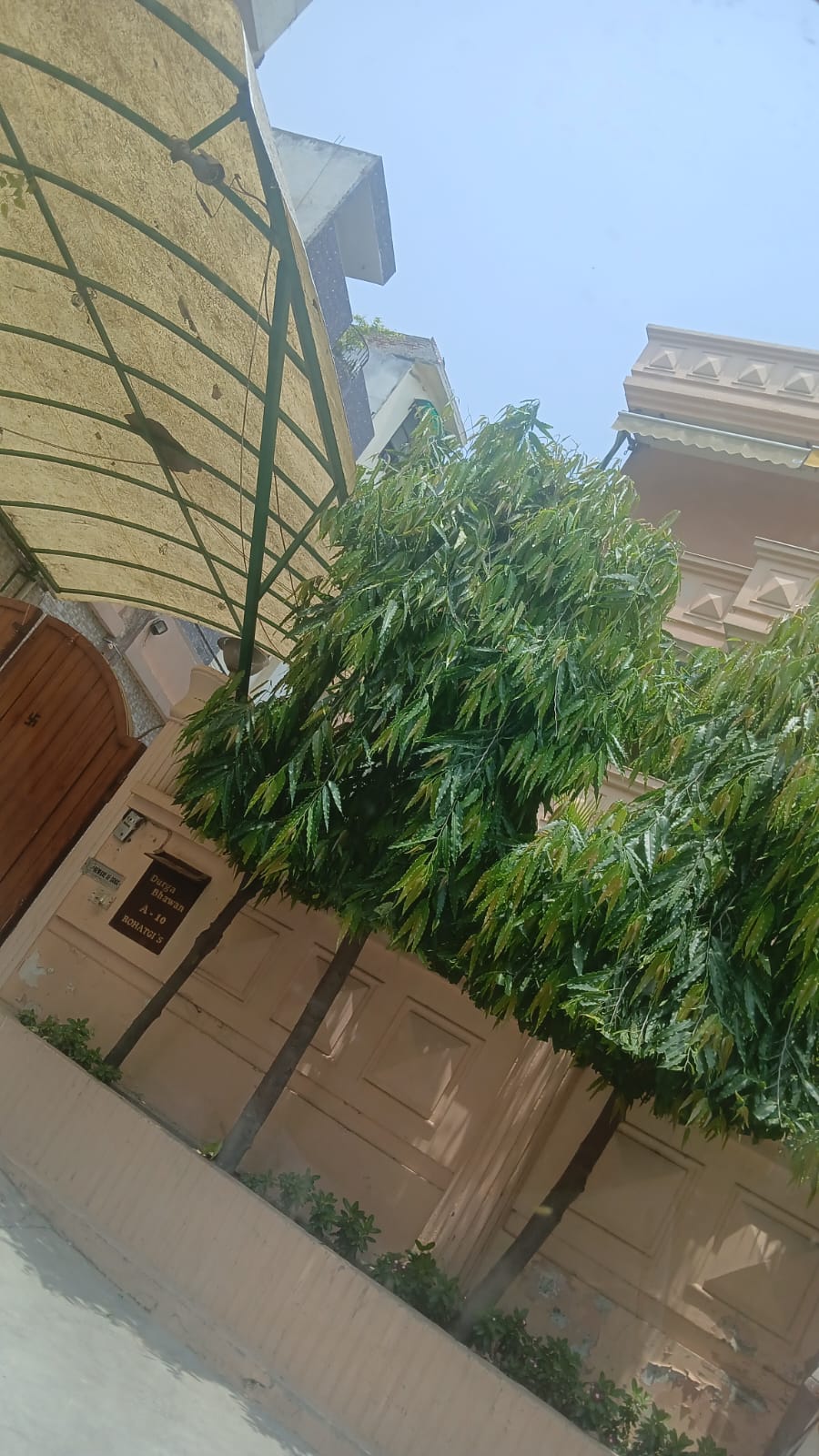 2 BHK Builder Floor For Rent in Sector 14