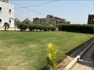  Plot For Sale in Ambala Highway
