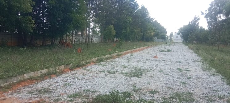 undefined, maralakunte  1500 Sq.Ft. Plot In Maralakunte Bangalore 8769557