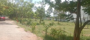  Plot For Sale in Maralakunte