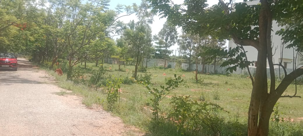 Plot For Sale in Asha Nanda Gokula Maralak