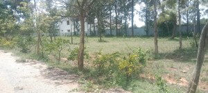 Plot Area in  Plot at Maralakunte – for Sale