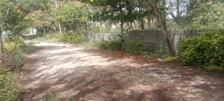 Exterior View, maralakunte  8000 Sq.Ft. Plot In Maralakunte Bangalore 8769574