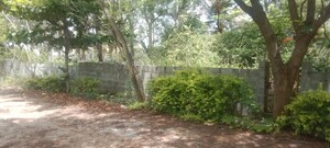  Plot For Sale in Maralakunte