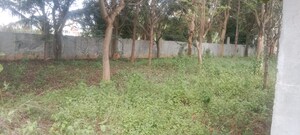  Plot For Sale in Maralakunte