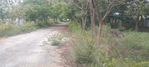 Plot Area in  Plot at Maralakunte – for Sale