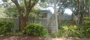  Plot For Sale in Maralakunte