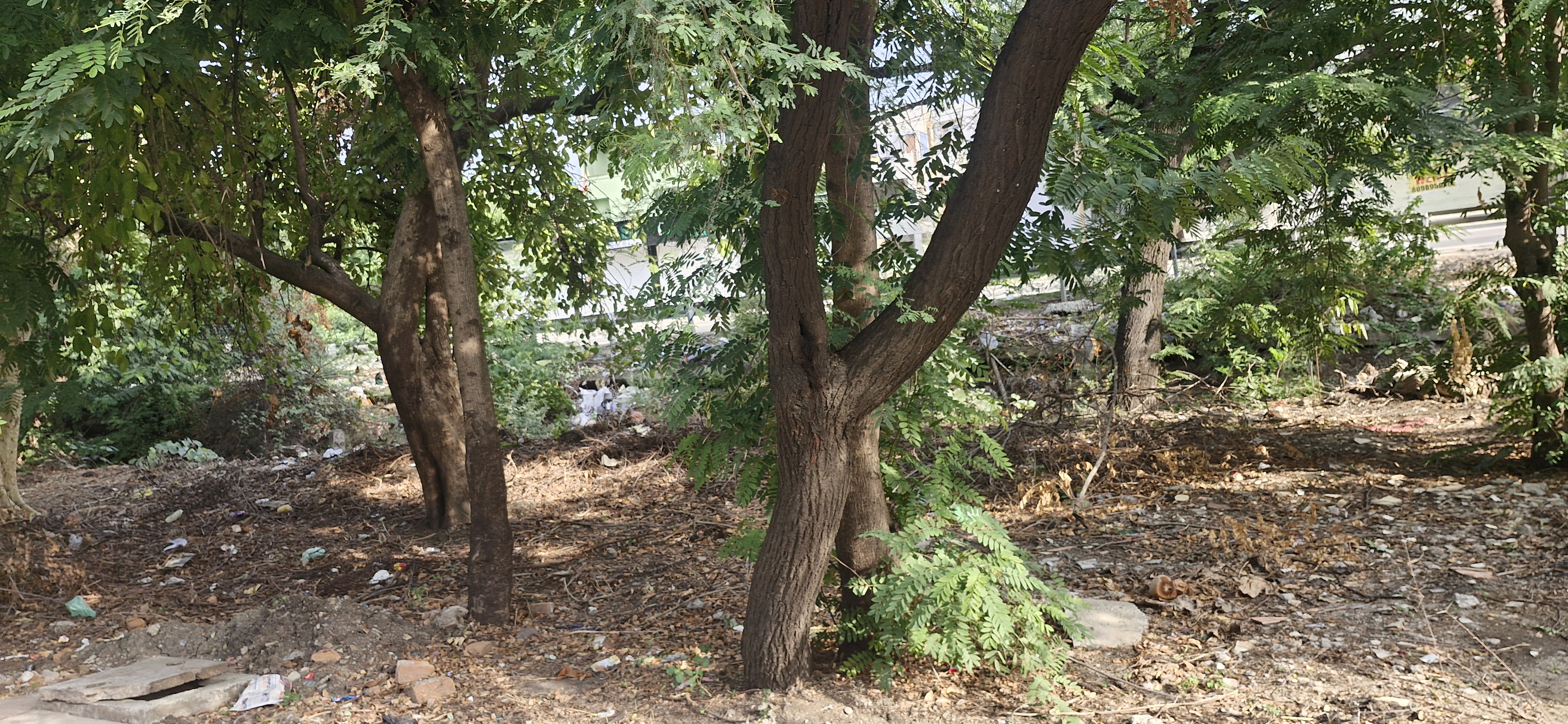 Plot For Sale in Bawadia Kalan