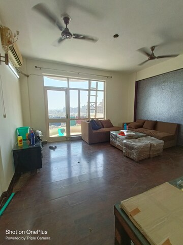Living Room in 3 BHK Apartment at Maple Crescent, Sector 43 – for Rent