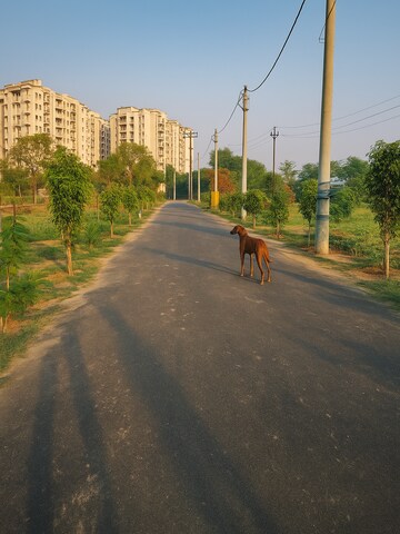  Plot For Sale in Modipuram