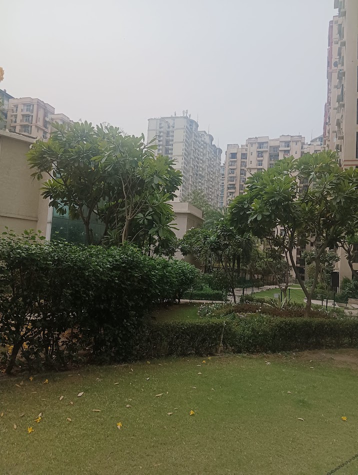 2.5 BHK + Study Room Apartment For Sale in Amrapali Princely Estate