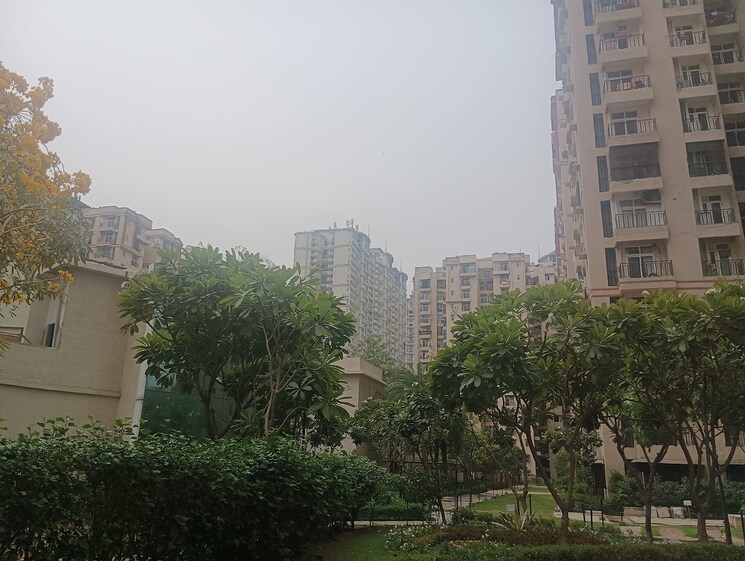 Exterior View, amrapali-princely-estate 2.5 Bedroom 1015 Sq.Ft. Apartment In Sector 76 Noida 8702840