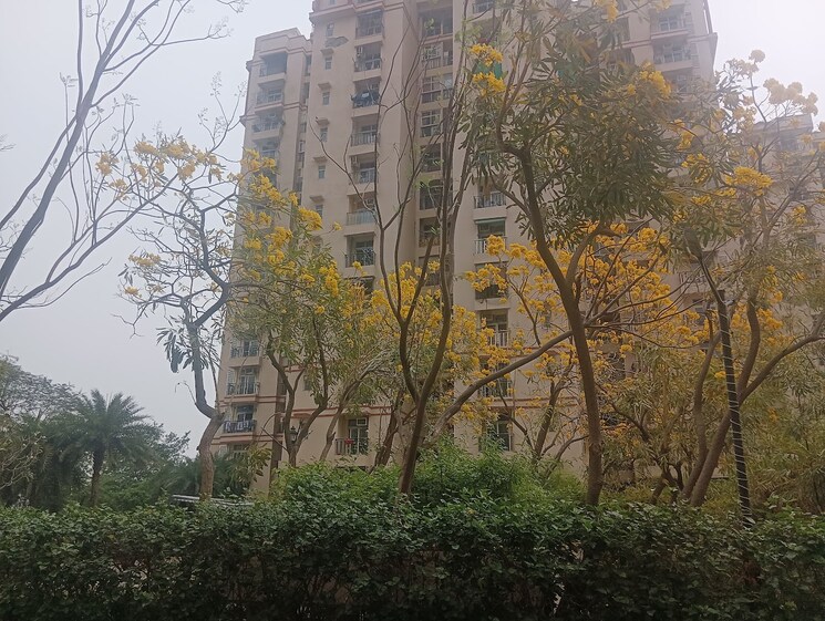 Exterior View, amrapali-princely-estate 2.5 Bedroom 1015 Sq.Ft. Apartment In Sector 76 Noida 8702840