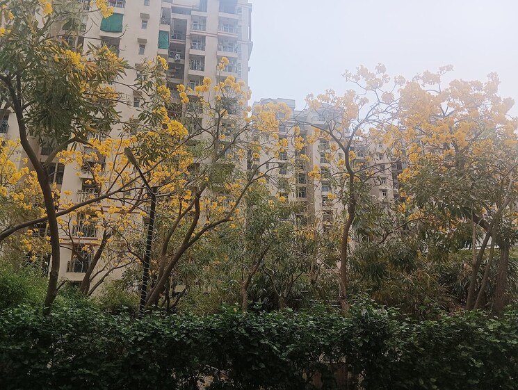 Garden, amrapali-princely-estate 2.5 Bedroom 1015 Sq.Ft. Apartment In Sector 76 Noida 8702840