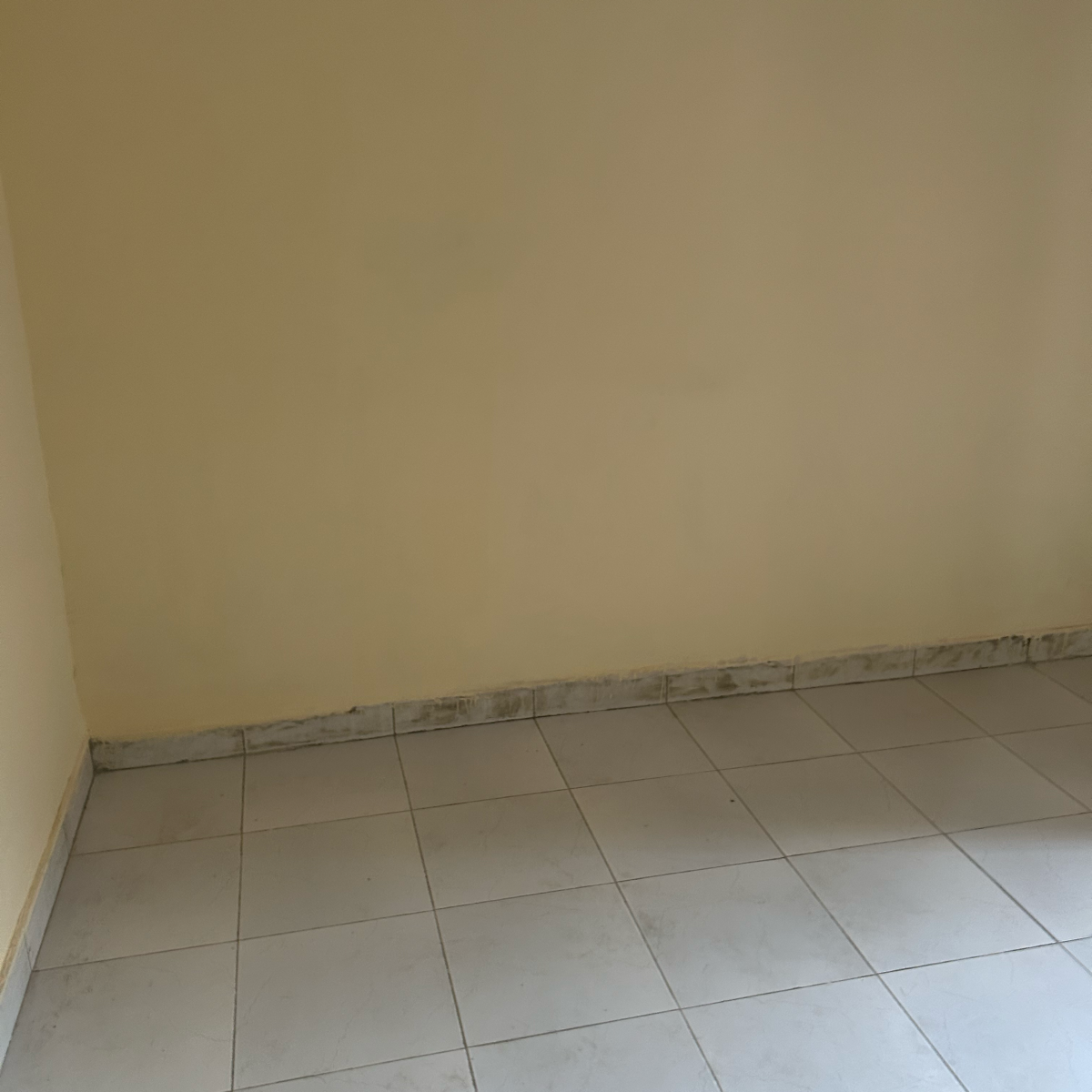 2 BHK Apartment For Rent in Rwa Jalvayu Vihar Noida