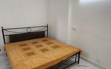 1 BHK Builder Floor For Rent in Dlf Ankur Vihar