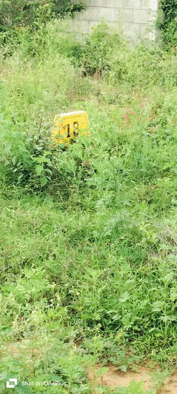 Plot Area in  Plot at KG Ragam Garden, Vittasandra – for Sale