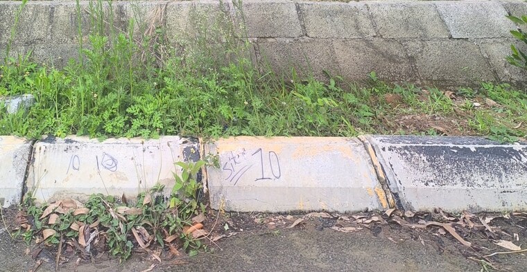 Exterior View, begur  1200 Sq.Yd. Plot In Begur Bangalore 8770604