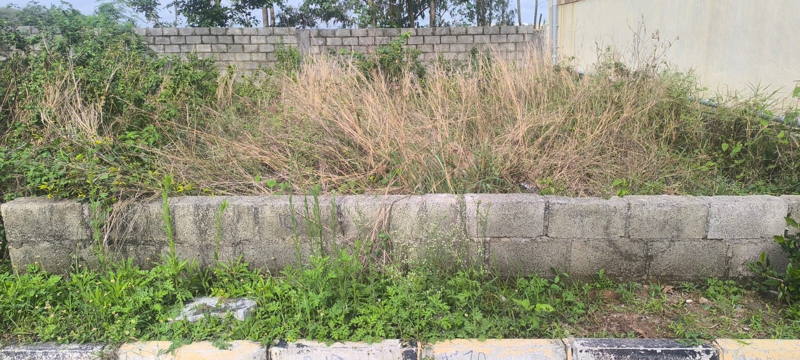 Plot For Sale in Green Valley