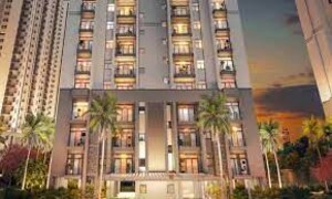 3 BHK Apartment For Sale in SS Cendana, Sector 83