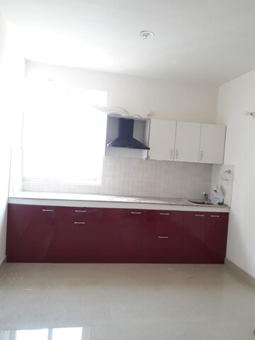 Kitchen in 2 BHK Apartment at Tulip Lemon, Sector 69 – for Rent