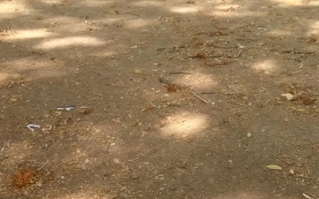 Plot For Sale in Wardha rd