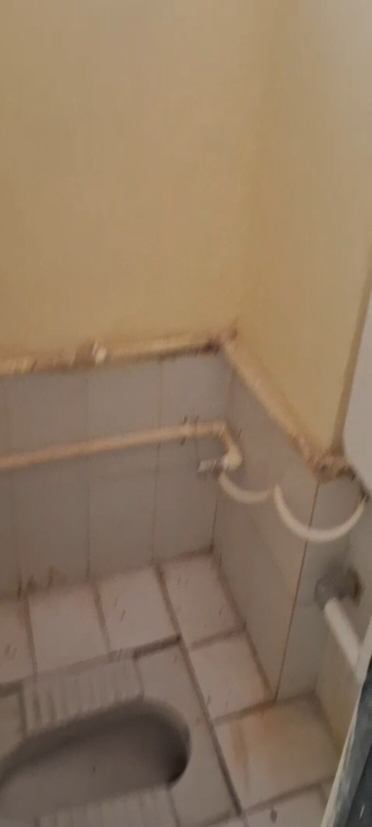 Bathroom, dadar west 1 RK 250 Sq.Ft. Apartment In Dadar West Mumbai 8771078