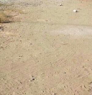  Plot For Sale in Wardha rd