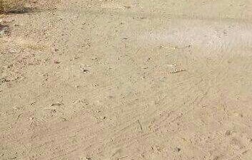 Plot For Sale in Wardha rd