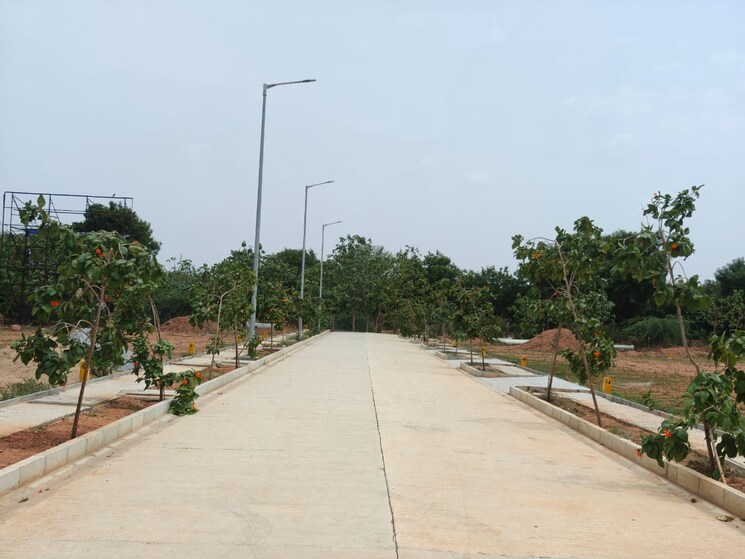 undefined, ace-arcadia  220 Sq.Yd. Plot In Maheshwaram Hyderabad 8771411