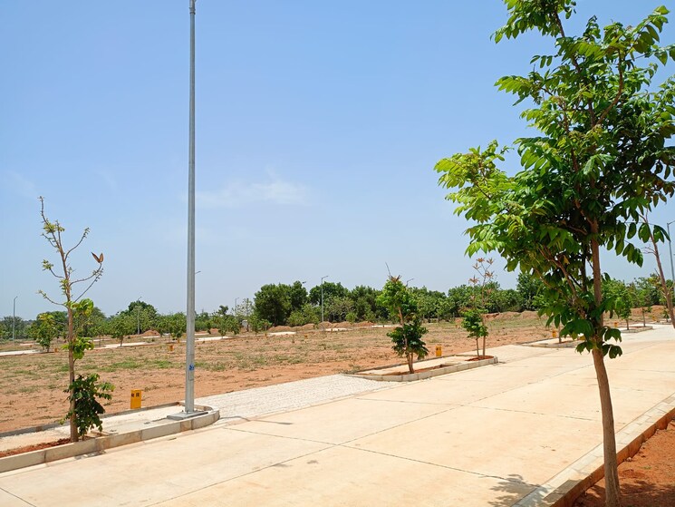 undefined, ace-arcadia  220 Sq.Yd. Plot In Maheshwaram Hyderabad 8771411