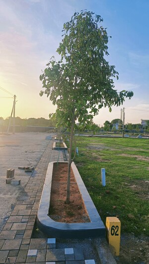  Plot – Exterior View View at Thiruverumbur - for Sale