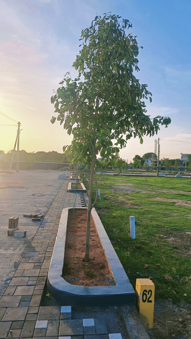 Exterior View, thiruverumbur  1200 Sq.Ft. Plot In Thiruverumbur Trichy 8771569