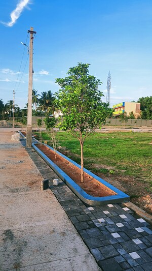  Plot – Garden View at Thiruverumbur - for Sale