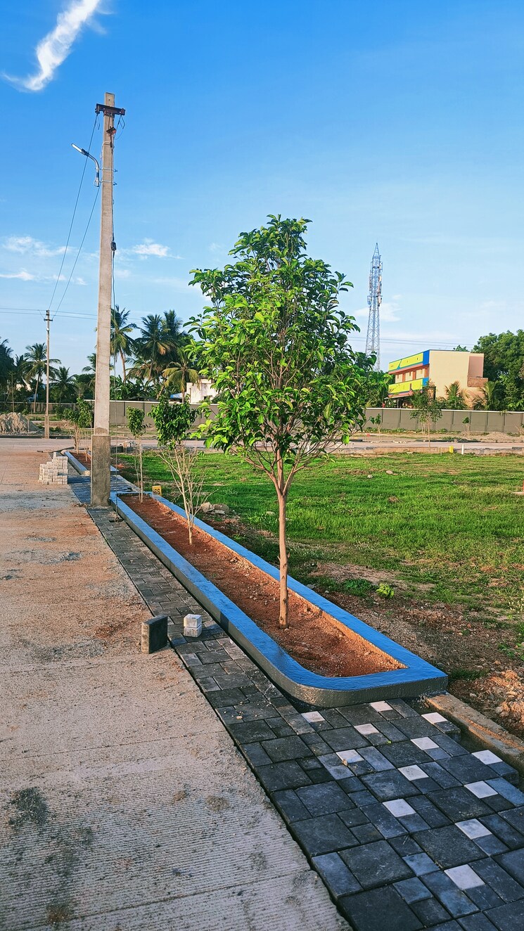 Garden, thiruverumbur  1200 Sq.Ft. Plot In Thiruverumbur Trichy 8771569