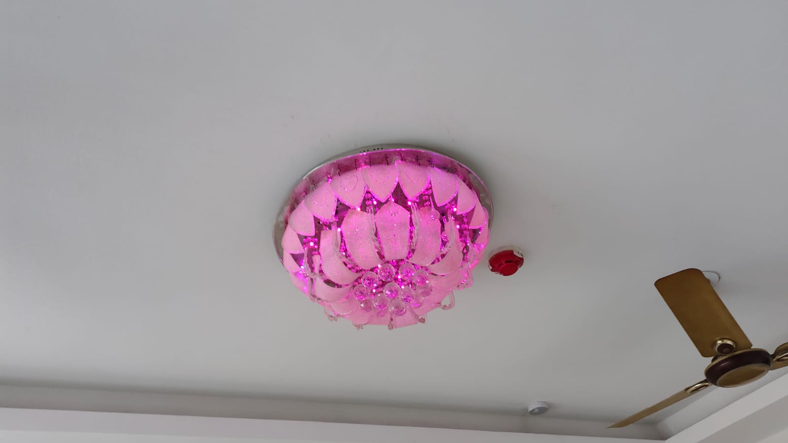 3 BHK + Extra Room Apartment For Rent in Panchsheel Greens II