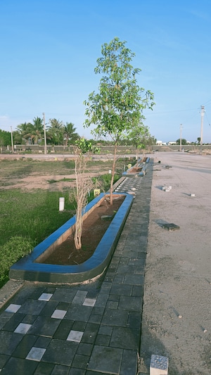  Plot – Exterior View View at Thiruverumbur - for Sale