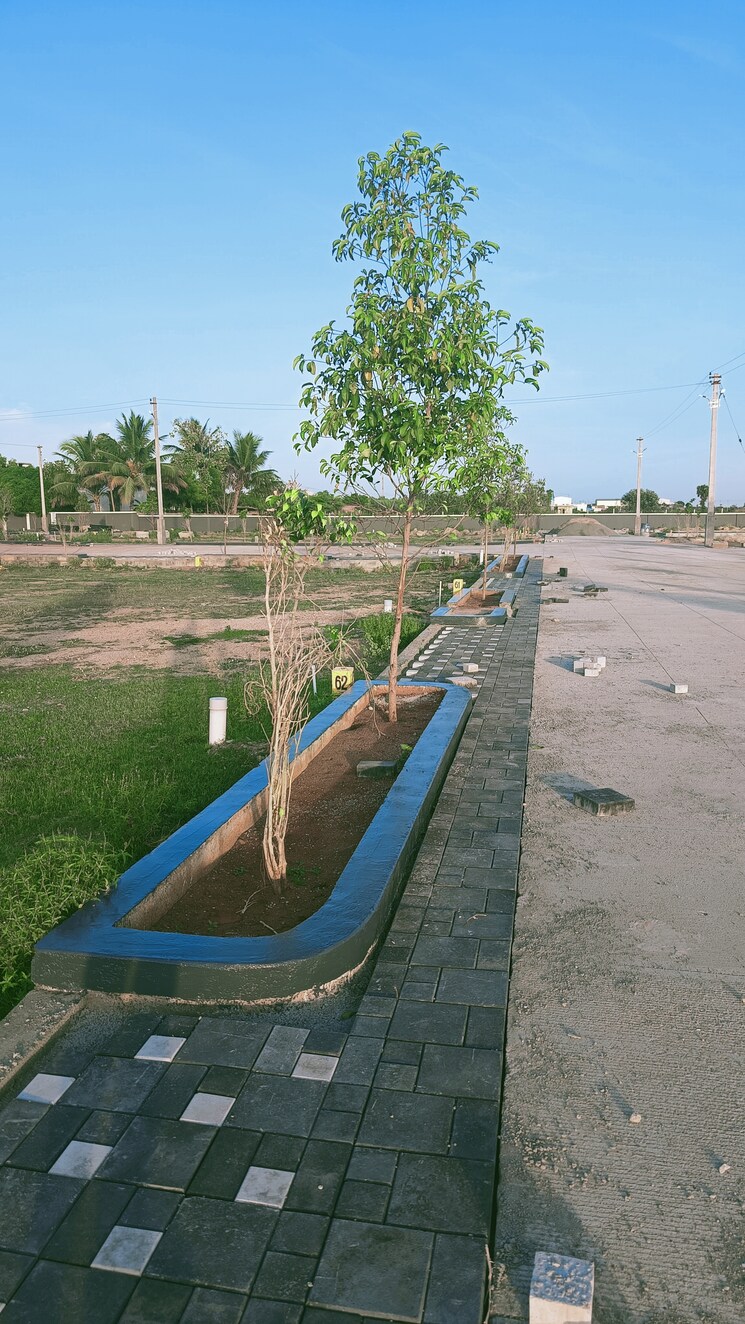 Exterior View, thiruverumbur  1500 Sq.Ft. Plot In Thiruverumbur Trichy 8771653