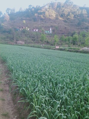 Master Bedroom in 5 BHK Villa at Kumarhatti – for Sale