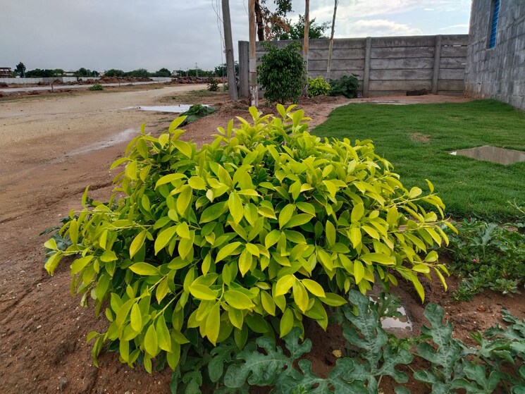 Exterior View, balanagar  120 Sq.Yd. Plot In Balanagar Hyderabad 8772183