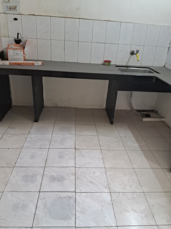 2 BHK Apartment For Rent in Castle World Aundh Pune