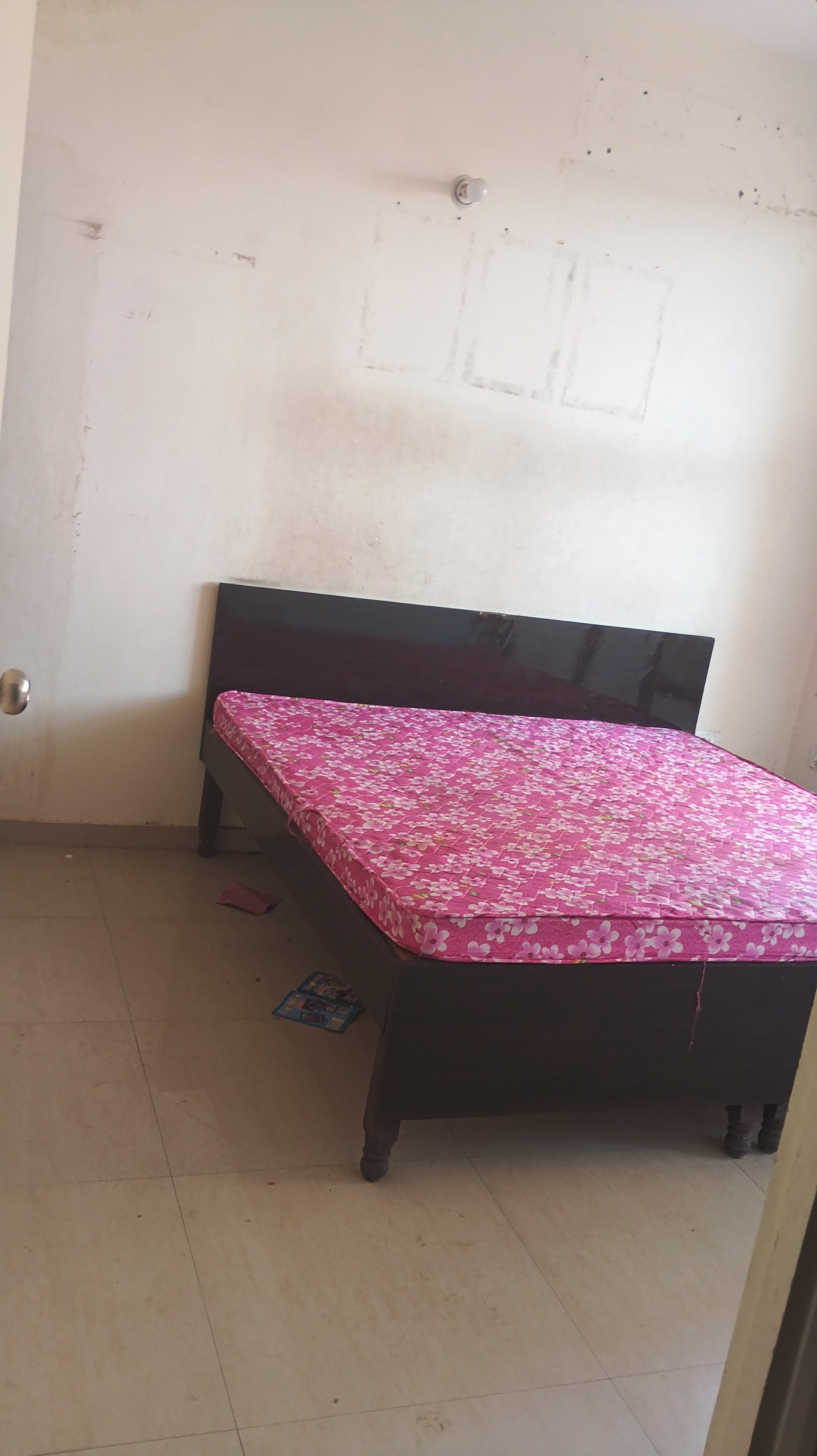 2 BHK Apartment For Rent in Pyramid Urban Homes 2